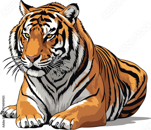 wild spirits serene watch imposing tiger illustration with calm intensity, isolated on transparent background