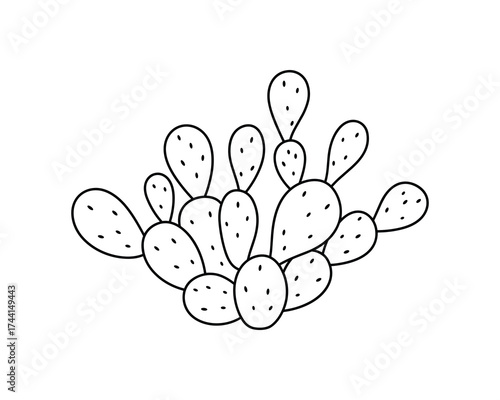 Prickly pear cactus outline