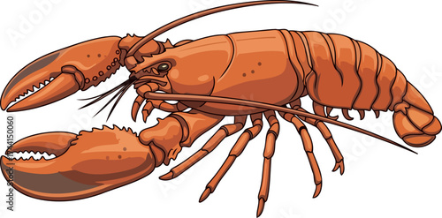 deep sea delicacy bold art of a classic red lobsters form, isolated on transparent background
