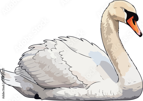 elegant solitude a swans gentle poise, a symbol of serene natural beauty, isolated on transparent background