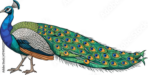 emerald splendor on display a proud peacock parades its intricate tail feathers, isolated on transparent background