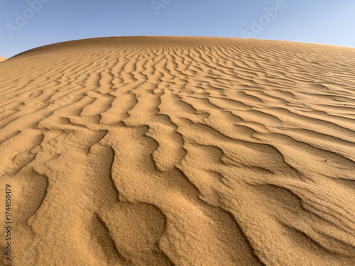sand dunes in the sahara desert