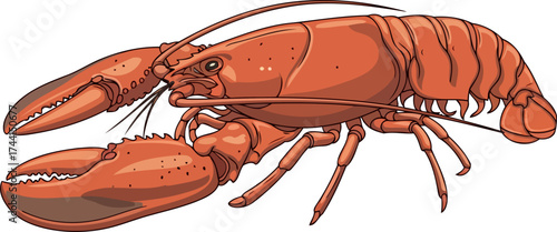 grand ocean harvest a vivid lobster illustration perfect for seafood menus and aquatic decor, isolated on transparent background