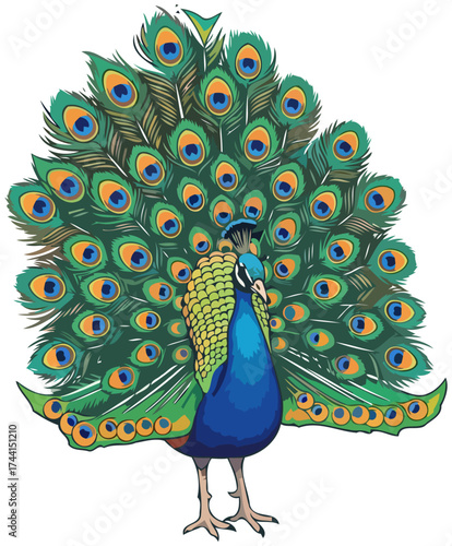 natures living masterpiece a spectacular peacock fans its jeweltoned display, isolated on transparent background