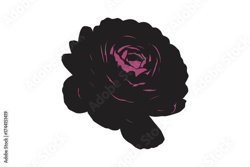 Rose flower silhouette with highlights
