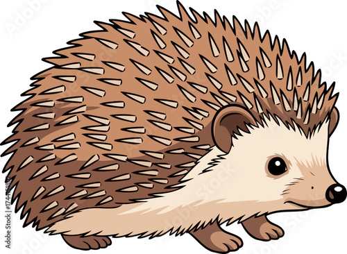 sweet prickle pal an endearing illustrated hedgehog, symbolizing natures small wonders, isolated on transparent background