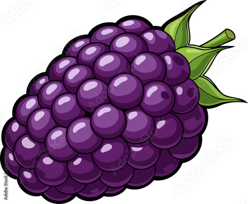 sweet summer jewel a deliciously ripe blackberry for healthy food designs, isolated on transparent background