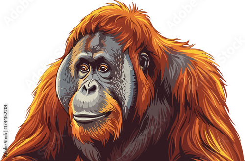 vibrant orangutans thoughtful gaze a symbol of primate wisdom and wild beauty, isolated on transparent background