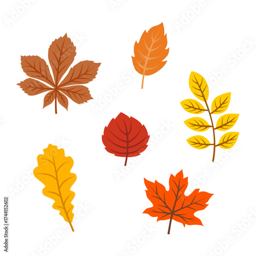 Vector Flat autumn leaves collection. Vector illustration.