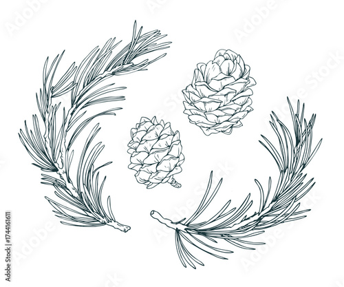 A minimal clipart set featuring two pine branches and two cones. This handy monochrome collection is perfect for scrapbooking and adding a winter touch to designs.