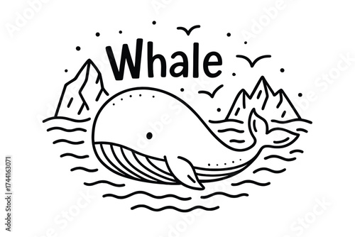 Doodle Arctic Whale. Doodle arctic whale with waves, icebergs, and birds, center word “Whale” in black and white isolated