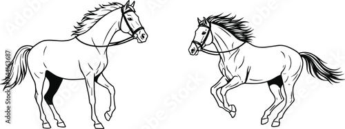 Running horses illustration, elegant black and white horse art, powerful motion drawing, equestrian animal sketch, wild spirit and strength design vector