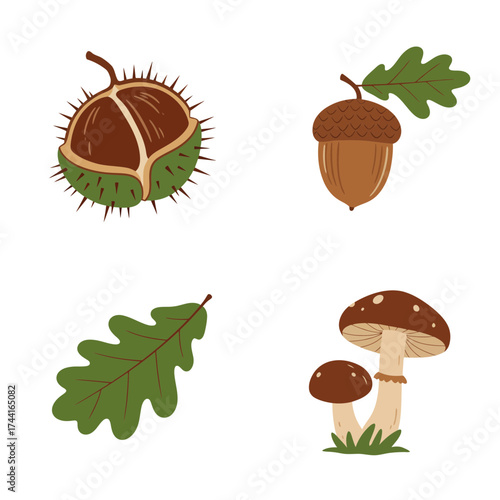 Autumn chestnuts, acorns, and mushrooms – cozy woodland harvest season vector set