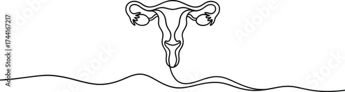 Minimalist line art depicting the female reproductive system connected to a wavy line