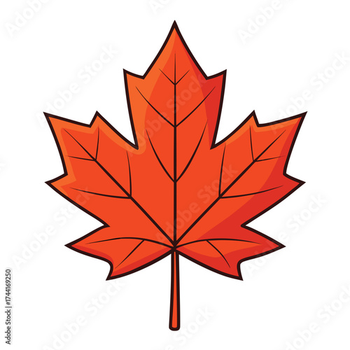 Brightly colored red and orange maple leaves symbolizing the autumn season in Canada, often isolated on white