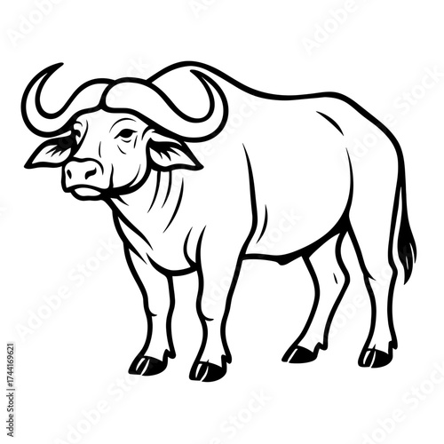 Water buffalo illustration in black and white line art style  