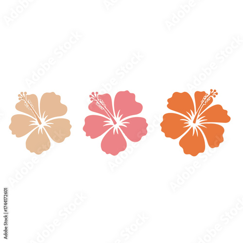Three Hibiscus Flowers on Black Background.