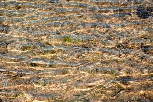 Abstract texture of sunlit shallow water in a tide pool, creating shimmering, distorted patterns over the dark, rock-and-algae floor.