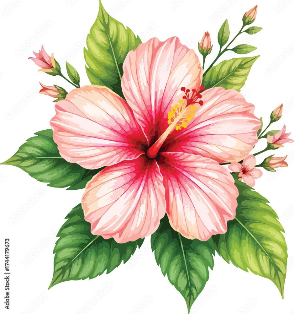 Obraz premium pink lily flower