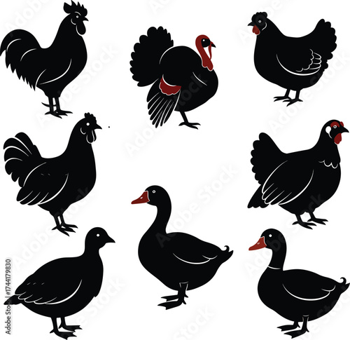 Farm Poultry Vector Silhouette Set Chicken Turkey Duck Quail