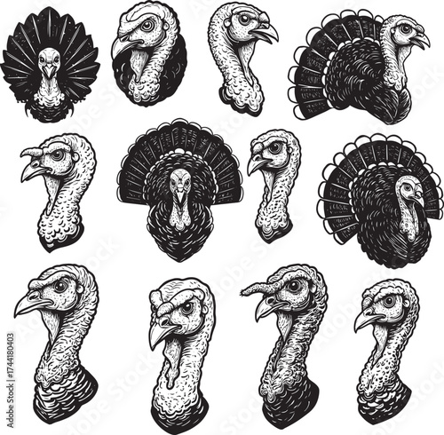 Turkey Engraving Drawing Sketch Set Vintage Collection Poultry Head Mascot