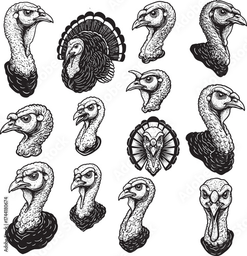 Turkey Head Vintage Engraving Vector Set Sketch Collection Farm Animal