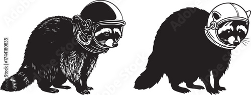 Raccoon Silhouette Wearing Space Helmet Vector