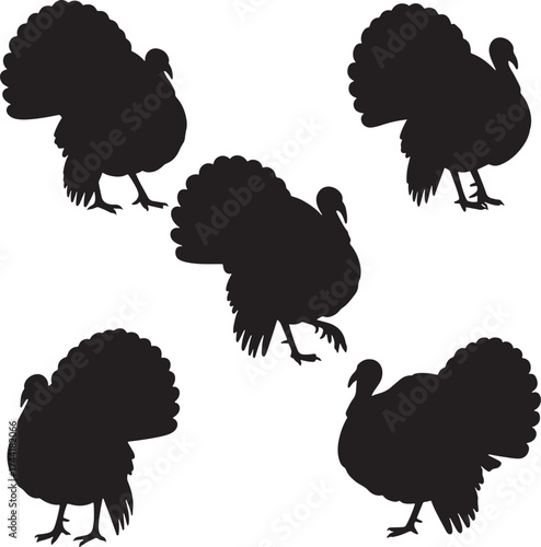 Turkey Silhouettes Vector Set Thanksgiving Poultry Bird Collection Display