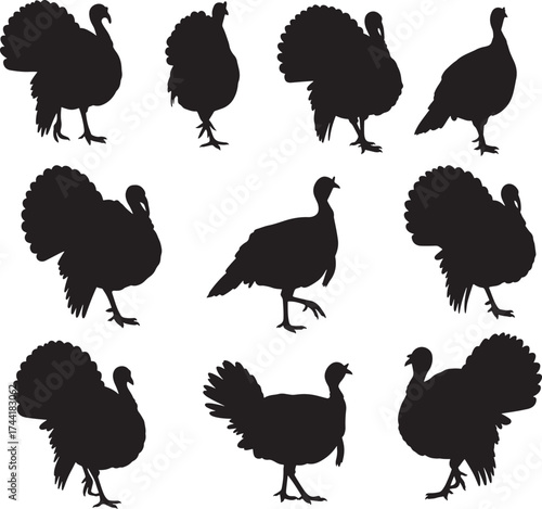 Turkey Bird Silhouettes Vector Set Collection Thanksgiving Holiday Poultry Farm