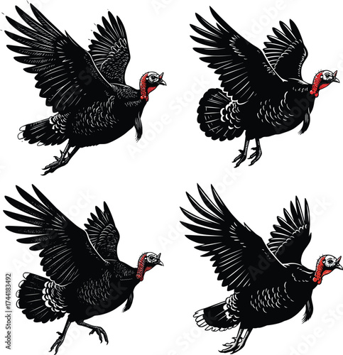 Flying Turkey Vector Set Colored Engraving Sketch Thanksgiving Bird