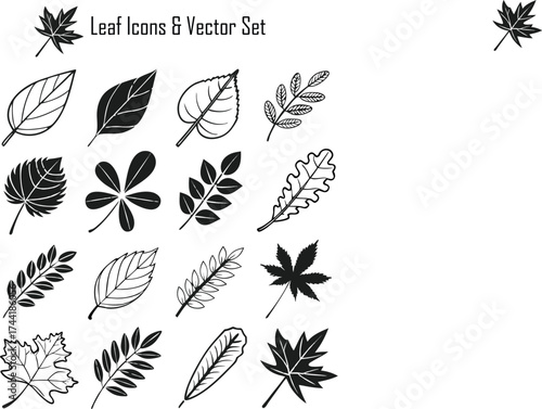 Leaf Icons & Vector Set