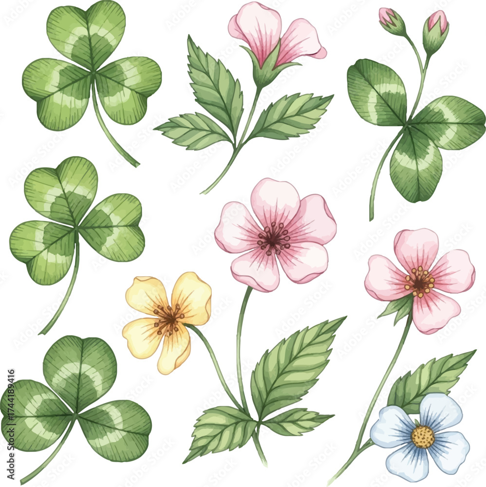 Fototapeta premium Watercolor Wildflower and Clover Leaf Illustration Set