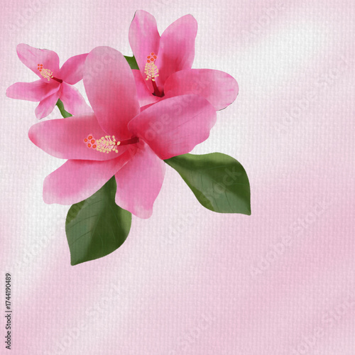 Beautiful pink hibiscus flowers with green leaves on a soft pastel pink background, watercolor-style floral design, perfect for fabric patterns, greeting cards, and digital art.