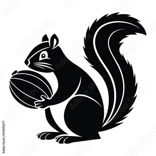 Black squirrel standing holds a footballshaped nut with its paws in illustration