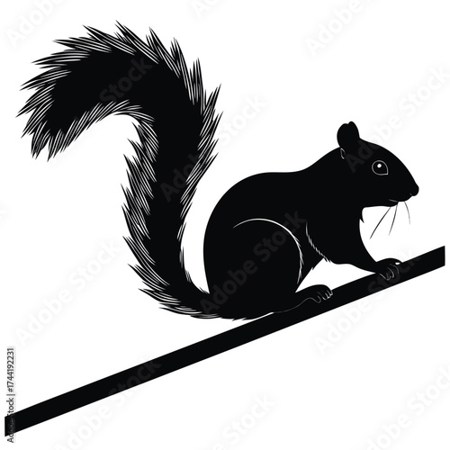 Silhouette of a squirrel carefully perching on a branch against a transparent background