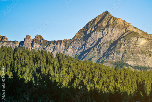 Paisagem rural do verão nos alpes da frança durante a manhã com céu azul e céu.