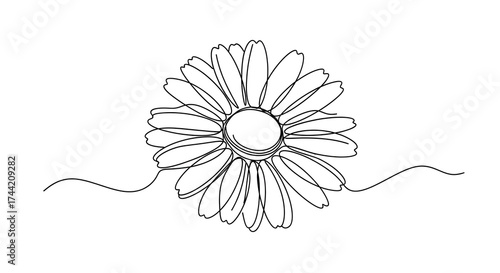 Continuous line drawing of a daisy flower with detailed petal design