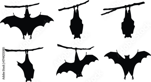 Silhouette vector illustration of bats hanging upside down on branches and flying with wings spread, spooky Halloween concept, black design icons art