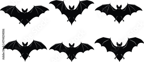 Silhouette vector illustration of bats with wings spread wide in different positions, spooky Halloween concept, black design icons, night creature art