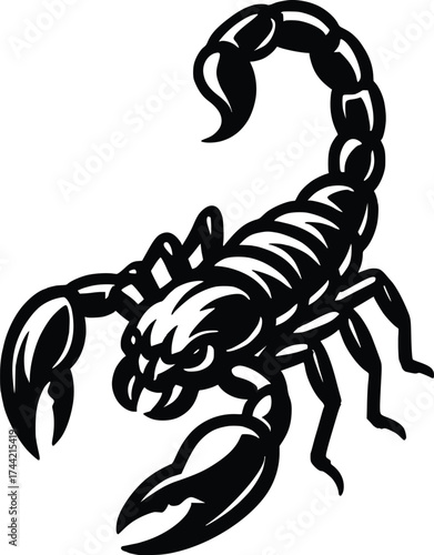 scorpion vector illustration for logo