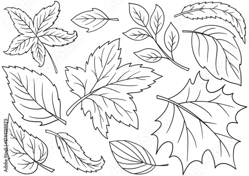 Set of illustrations for postcards, flyers, banners
