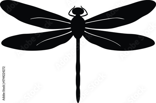 dragonfly silhouette vector, delicate flyer illustration