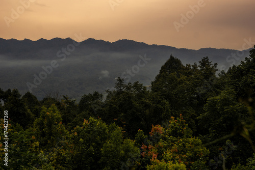 Beautiful mountain forest at sunset