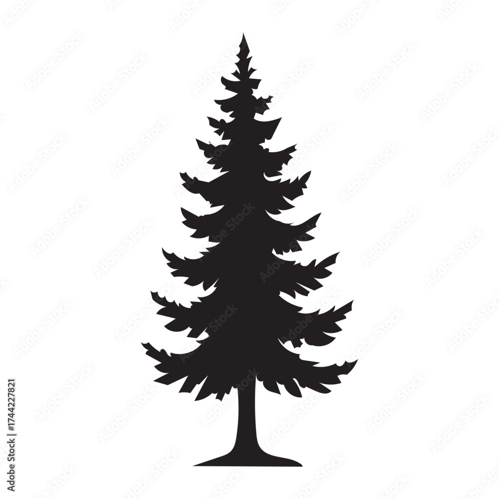 Obraz premium Conifer Tree Silhouette