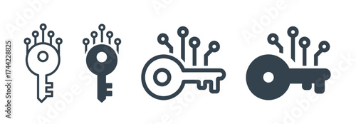 Digital key icon set