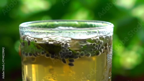 glass of green beer