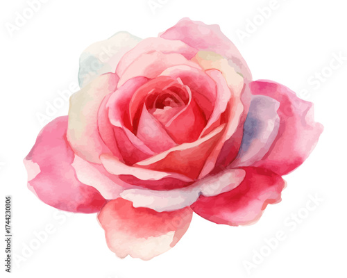Romantic Watercolor Pink and Red Roses Clipart isolated on white background