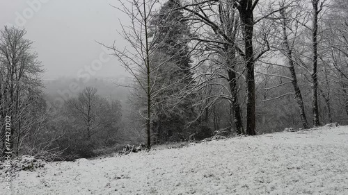 Winter Wonderland: Snow-Covered Landscape in Motion