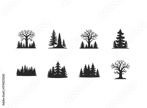 Silhouette trees