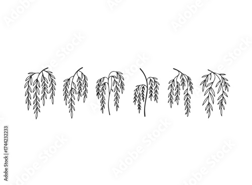 Set of weeping willow branches